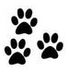 pattes-de-chats